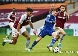 开云网页版登录入口-法兰克福足球队官网