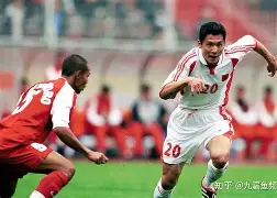 开云-武甲联赛中的惊人进球,球迷沸腾狂欢是什么