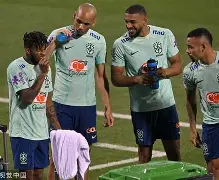 开云网页版登录入口-巴西队是南美国家的吗