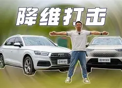 开云-足球队助教