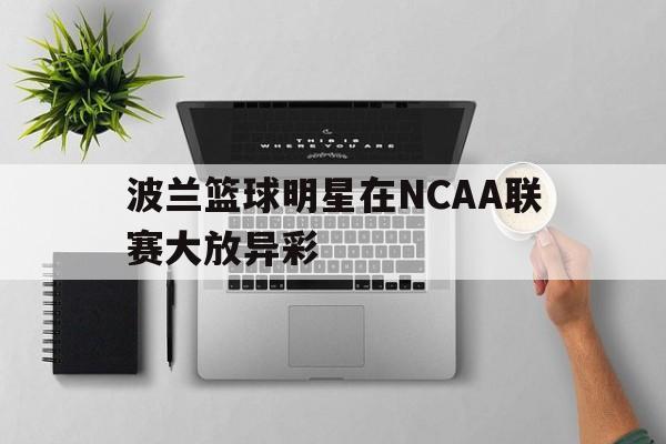 开云-波兰男篮球星