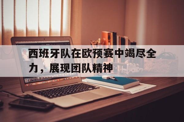 开云中国-西班牙欧预赛战绩